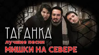 Мишки на севере - Таганка | Лучшие песни 
