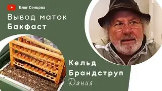 Вывод маток в хозяйстве Кельда Брандструпа. Бакфаст Дания (часть 1)