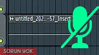 FL Studio doesn't record microphone (solution)