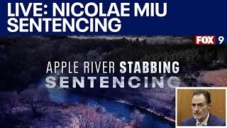 LIVE | Nicolae Miu's sentencing in Apple River stabbing