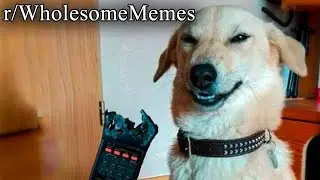 OVER 2 HOURS OF WHOLESOME MEMES