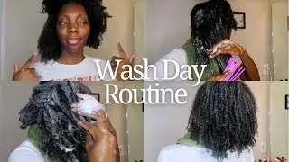 Full Wash Day Routine + Wash N Go | Natural Hair