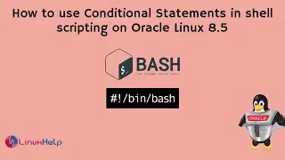 How to use Conditional Statements in shell scripting on Oracle Linux 8.5