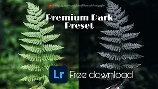 Dark moody Lightroom preset Free download | Lightroom Mobile Tutorial | DNG Free Download