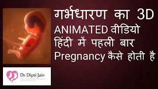 PREGNANCY कैसे होती है / बच्चा कैसे होता है / गर्भधारण का 3D ANIMATED वीडियो हिंदी में पहली  बार