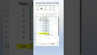 IRR Calculation in Excel #excel