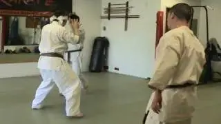 Ashihara Karate USA