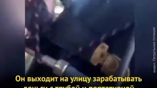 Как в Запорожье полицейские задерживали уличных музыкантов