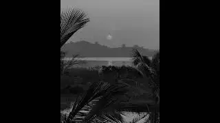 [Free] Joey Bada$$ x XXXTENTACION x MF DOOM Type Beat 'Profector'