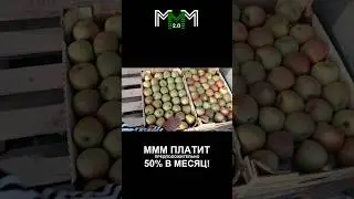 Яблочки у тёти Зины ! Желябовка. цены опт. 04.06.24