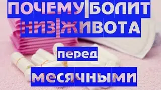 Почему болит живот перед менструацией.