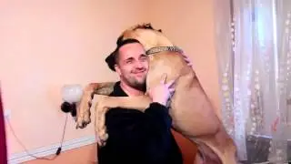 It's not easy to hug a Great Dane!