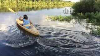 Берестянка