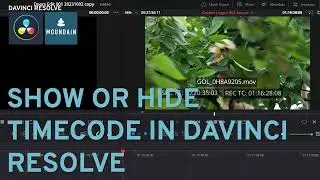 Add or hide timecode Burn-in on video in Davinci Resolve using Data Burn-in