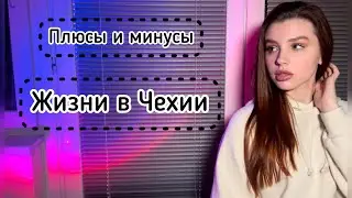 Плюсы и минусы жизни в Чехии.Мой опыт