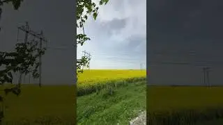 #осетия