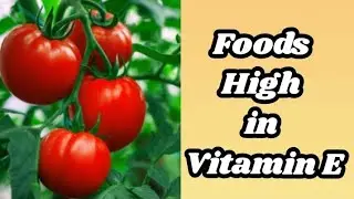 Vitamin E Rich Foods | Foods High in Vitamin E and Deficiency