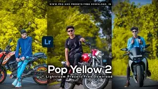 Pop Yellow 2 - Lightroom DNG & XMP Presets Free | Yellow lightroom presets