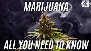 Marijuana: All Facts And Numbers