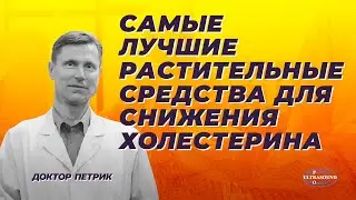 Самые лучшие растительные средства для снижения холестерина