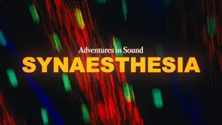 How Does Sound TASTE? (You're Not Gonna Believe This)