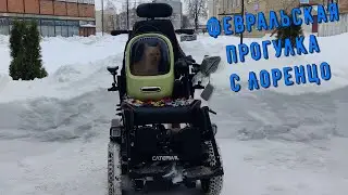 Месяц февраль и его приметы | Целый год на Caterwil GTS 4WD