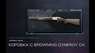 Warface Коробка с BROWNING CYNERGY CX