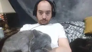 game dev with sleepy kitty