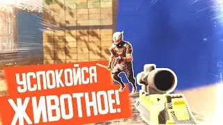 ШТУРМОВИК В WARFACE 2022! КАК ИГРАТЬ?