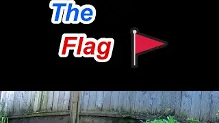 Capture the Flag (CTF) Explained In Under a Minute - Cybersecurity Basics 