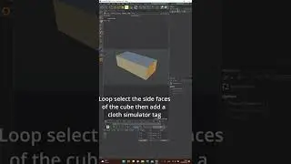 Create a 3D pillow in C4D.