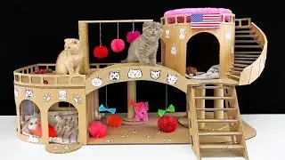 DIY Amazing  Cat House for Two Beautiful Kittens