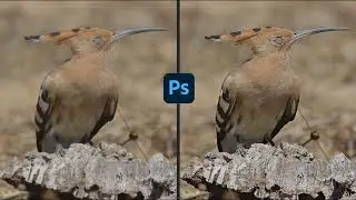 Aumentare la nitidezza in modo professionale con il metodo LAB - Photoshop tutorial