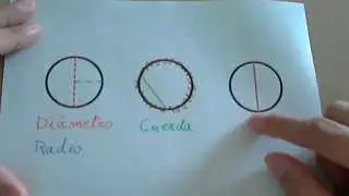 Elementos de una circunferencia (centro, diámetro, radio, cuerda y semicircunferencia).