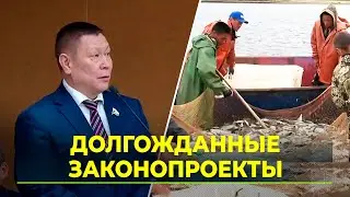 В Госдуме представили законопроект, упрощающий представителям КМНС добычу рыбы