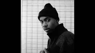 [FREE] Nas Boom Bap Type Beat - 