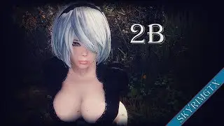 Skyrim: YoRHa 2B Follower 1.10 HDT