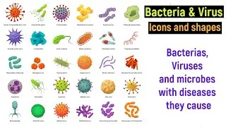 bacteria and viruses - disease causing bacteria, virus and microbes icons and shapes - biology