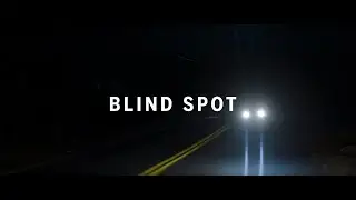 Documentary Short: Blind Spot