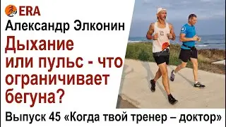 Дыхание или пульс - что ограничивает бегуна? Выпуск 45 «Когда твой тренер - доктор»