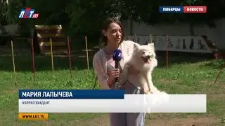 21 июня – День кинолога
