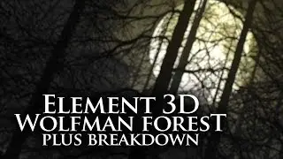 Element 3D | Wolfman Forest plus Breakdown