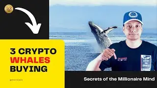 Why Whales are Buying these Crypto?