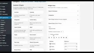 Widget Shortcodes Options