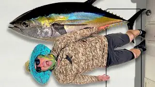 INSANE Tuna Fishing in Panama