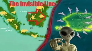 इंडोनेशिया की वो अदृश्य दिवाल जिसे कोई पार नहीं कर सकता।Invisible line indonesia