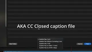 How to export srt and vtt subtitles with DaVinci Resolve (Closed Caption Files)