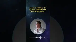 Смещение земной оси 
