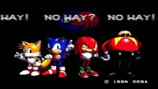 Sonic & Knuckles - No Way!