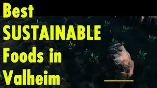 Best SUSTAINABLE foods in Valheim